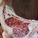 진주교방 이미지