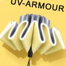 벨라코리아 이미지