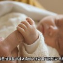 2025년 2월 2일 주님봉헌축일 강론 이미지