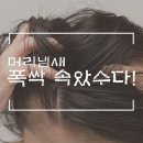 웰킨 천호점