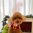몽데이 이미지