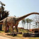 안면도쥬라기공원 이미지