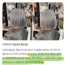 주식회사 이안정보기술 | 신촌역 탈색2회후 외국 애기 머리색 만들기 리얼 후기