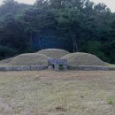 윤원거 묘비 이미지