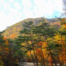 가야산로 이미지