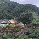 라온솔펜션 이미지