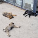 골물동교차로 4 | [알마티] 카자흐스탄 여행 알마티 근교 투어, 카인디 호수, 콜사이 호수와 블랙캐년