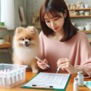 세종사이버대와 함께하는 <성격 유형별 스트레스 해소법> | 포메라니안 키우기 전 알아야 할 성격과 털 관리 및 건강관리 팁