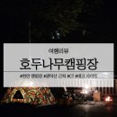 호두나무 | 천안 캠핑장 호두나무캠핑장 C7 데크 사이트 쏠캠 후기