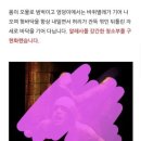 로또 1등을 두고 폐교에서 사일런트 힐 청소부와 싸운다면? 이미지