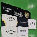 백호용인대합기도 이미지