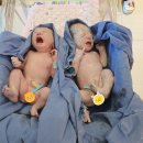 수리야 놀자 이미지