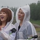 위콜라보 이미지
