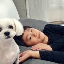 더솜 이미지