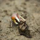 이로운바다 이미지