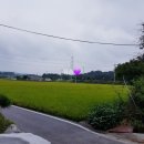 장수송어회식당 이미지