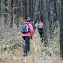 감천목장 이미지