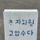 메밀밭 - 강남구 | 제주 가볼만한곳 추천 오라동메밀밭 5월말 방문 후기