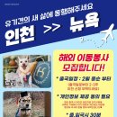 뉴욕시간