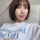 헤어바이제이 이미지