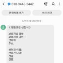 세이브독 이미지