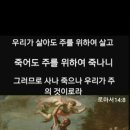 교회신문 ＞ 제 877호 굳은살과 티눈 이미지