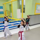 경희대 아이스타 태권도장 이미지