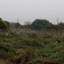 현천배수펌프장 이미지