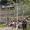구기마을영농조합법인(구기마을 태양광발전소) | 강원도 인제 햇살마을에서의 특별한 체험학습 &#34;JCS 가을 교환학습 프로그램&#34; 현장 속으로! 기독교국제...