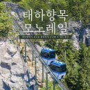 울릉드림 | 울릉도 토박이 택시투어 A코스 내돈내산 후기(출발, 도착 장소 협의)