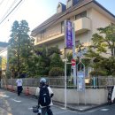 더윌 | 극강 더위 8월 도쿄 여행 후기⛱️ 2박3일 여행 일정 맛집 추천