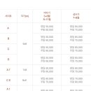 영월아프리카미술박물관&에이미캠핑장 이미지