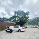 울타리손칼국수 | 가능동 애견동반 맛집 밀박칼국수에서 장칼국수와 손만두