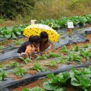 계양초등학교 이미지