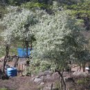 심산농장 이미지