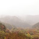 비밀의 정원 이미지