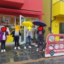 소락스위스 이미지