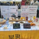 펫소울메이트 이미지