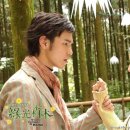 원경천 카카오 검색결과