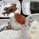 진세이로무시 | 속초 홍게장 맛집 :: 밑반찬만 먹어도 배부른 홍게장 정식 진세이로무시 내돈내산 후기