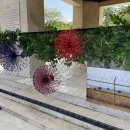 한국백신판매(주) 이미지