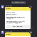 스카이데이지
