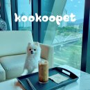 쿠쿠펫(KOOKOOPET) 이미지