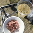 272-0111 | 도쿄 근교 치바 묘덴공원 에도가와 벚꽃 피크닉 BBQ 후기｜크레이프 맛집｜ 강아지 동반