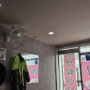 명화반점 이미지