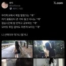 우리동네파스타 이미지