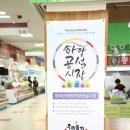바우마트 이미지