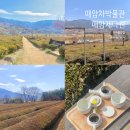 평사리주유소 | 하동에서 차 마시며 차문화 즐기기 “매암차박물관•매암제다원”