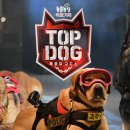 예능농장 이미지