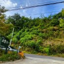 생태농원소향 이미지